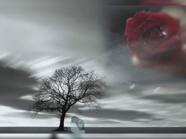 Любовь умирает...