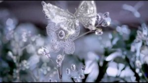 Зимняя МелодияWerema54 (ввторская  )