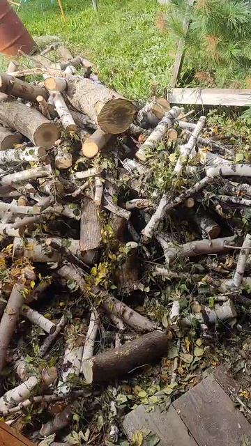 Убираю дрова смотреть онлайн