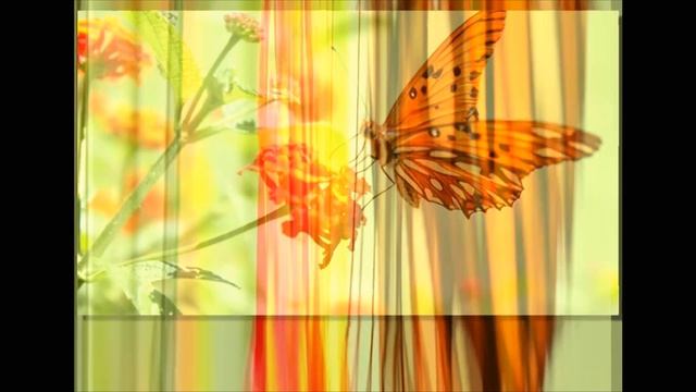 Mr.Nobody - Is Not Fear смотреть онлайн