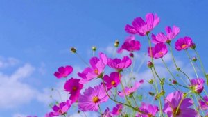 Ах, как это было давно (Suno AI)