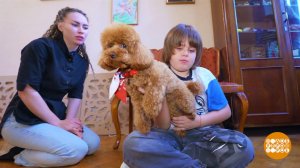 Как подружить ребенка и собаку. Доброе утро. Фрагмент выпуска от 28.01.2026