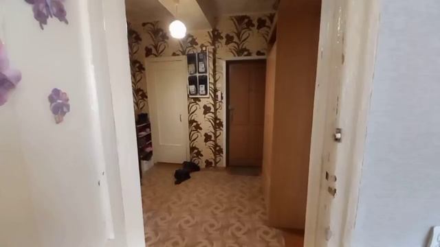 document_5462970797310121590 смотреть онлайн