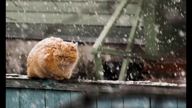 А потом наступила зима 1в 2дб - стихи Виктора Левашова, Ярославль. смотреть онлайн