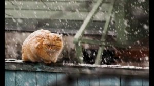 А потом наступила зима 1в 2дб - стихи Виктора Левашова, Ярославль.