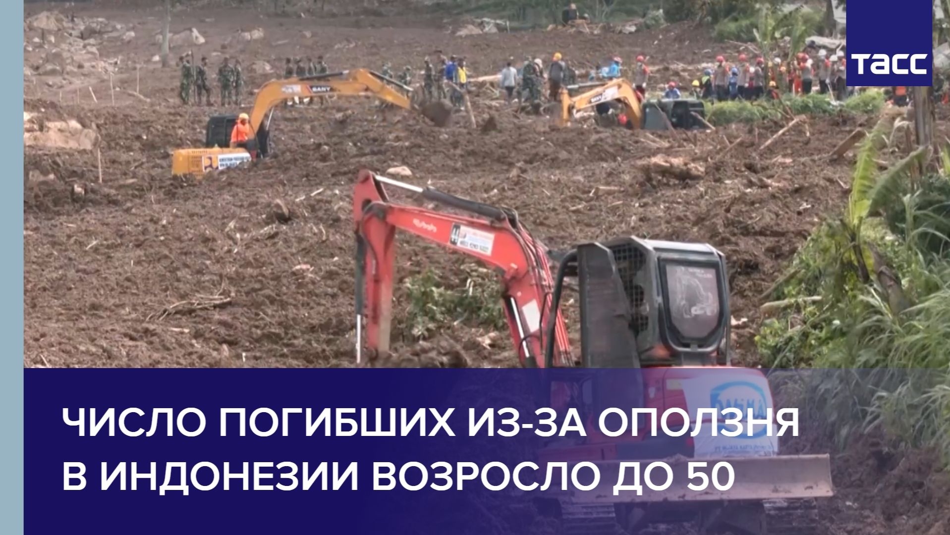 Число погибших из-за оползня в Индонезии возросло до 50 смотреть онлайн