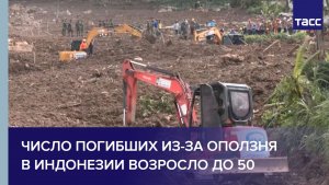 Число погибших из-за оползня в Индонезии возросло до 50