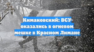Кимаковский заявил, что ВСУ оказались в огневом мешке в Красном Лимане