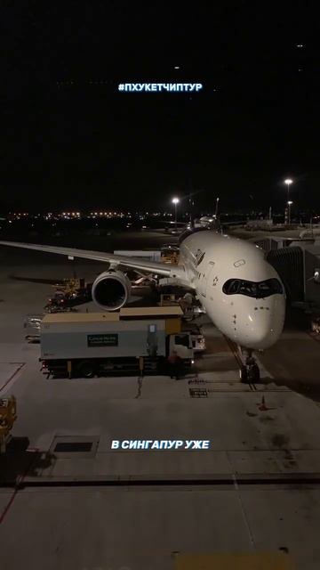 ✈️ Экскурсия с Пхукета в Сингапур на 2 дня/1 ночь✈️ ✅Полное сопровождение смотреть онлайн