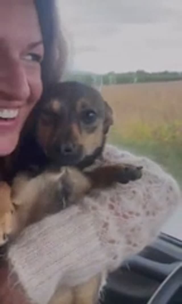 Нашла себе друга смотреть онлайн