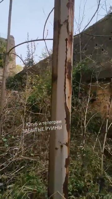 Иерусалим и Баальбек- единая кладка- За МЕГАзабором Баальбека