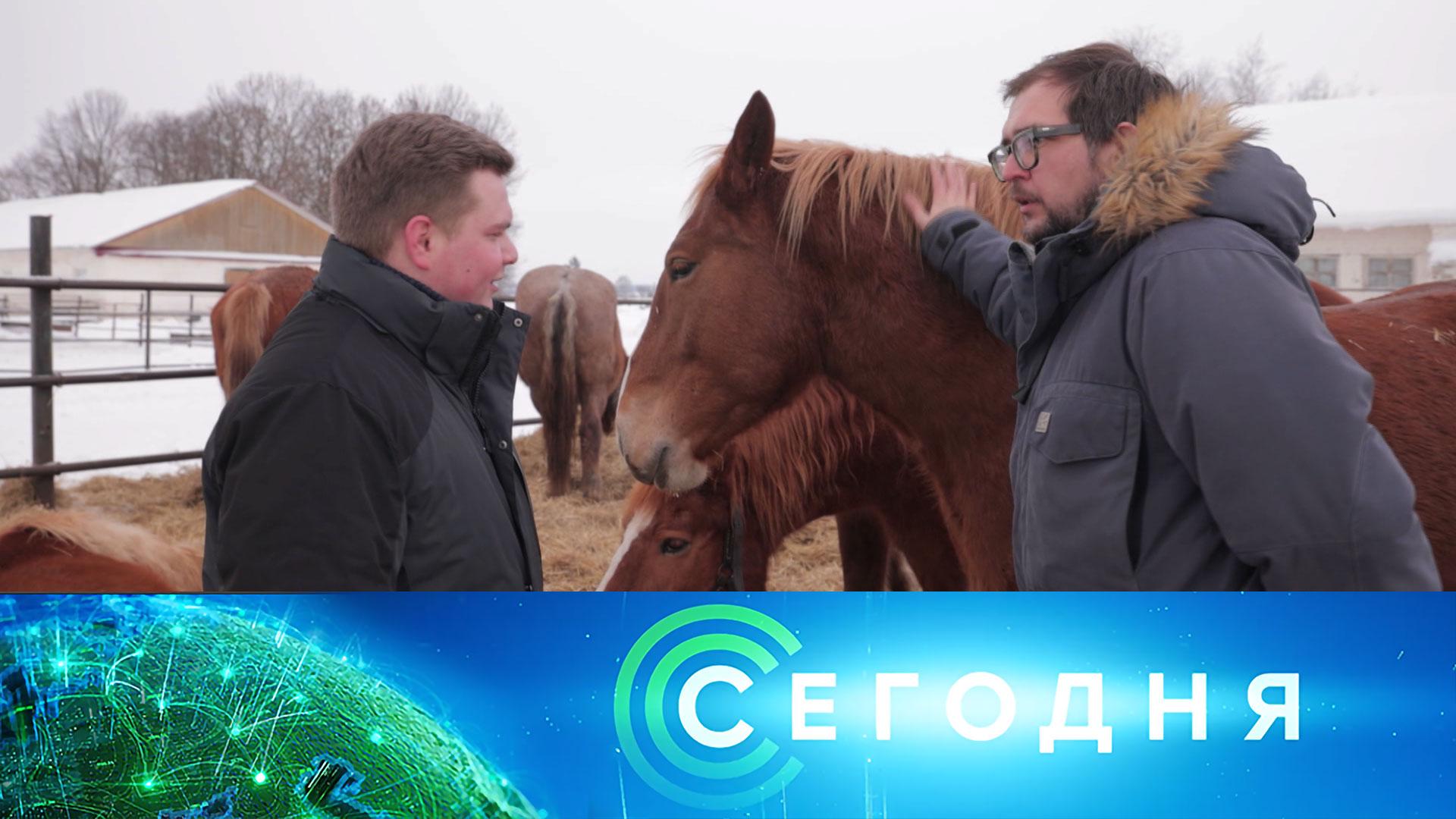 «Сегодня»: 28 января 2026 года. 10:00 | Выпуск новостей | Новости НТВ смотреть онлайн