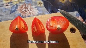 Обзор семян томатов на 2026г.🍅Приходила лиса на дачу!🦊