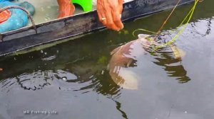 ЛОВЛЯ РЫБЫ НА КРЮЧОК