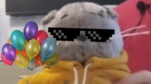 подпишитесь на Басик коробасик♥️