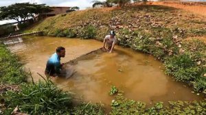 ЛОВЯЩИЙ ГИГАНСТКУЮ АРАПАИМУ