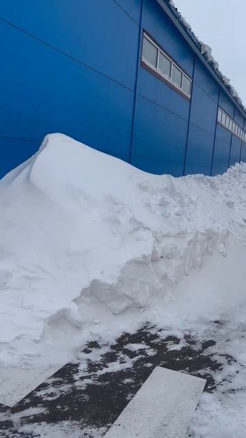 Январь 2026 год смотреть онлайн