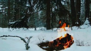 Костёр зимой в лесу