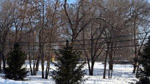 Проспект им. Гагарина, Национальная деревня Фрагмент Видео Виктор Поживин