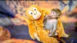 Люся вся ИЗВООБРАЖАЛАСЬ в новой юбке и Ангелине похвасталась, и Жорику показалась)))