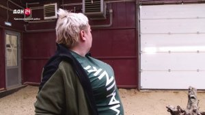 Экзотические новобранцы парка «Малинки»