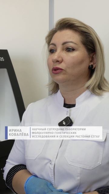 Как разработки в сфере аграрной генетики служат фермерам на Ставрополье смотреть онлайн