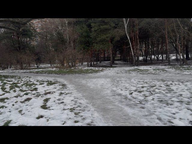 Такой ЗИМЫ в КРАСНОДАРЕ мы еще не видели! #зимавкраснодаре #гололед смотреть онлайн