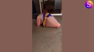 Провалы на Хэллоуин 🎃 Самые смешные жуткие провалы, снятые на камеру. Видео из интернета.