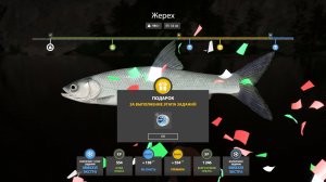 Русская Рыбалка 4-Новогодние Экстра Задания 2026: Жерех р. Белая