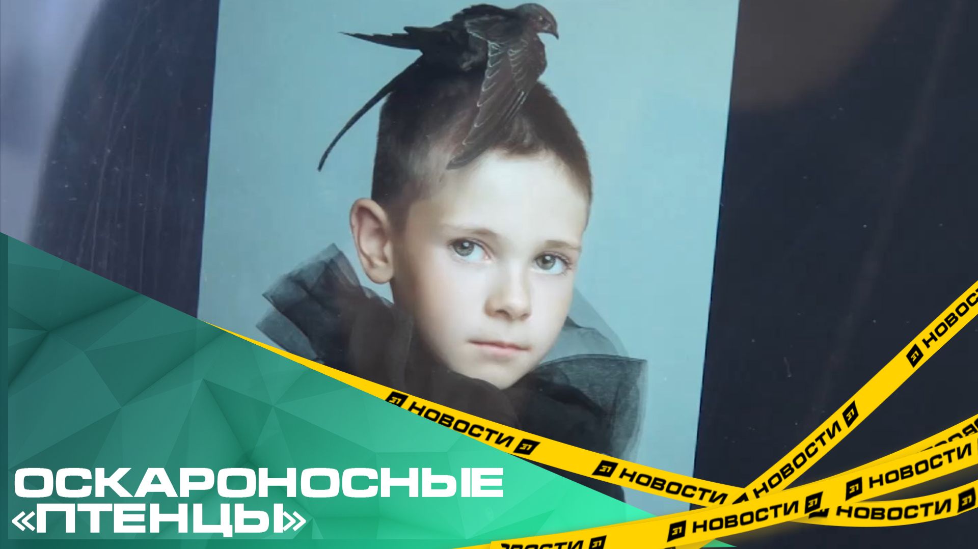 Оскароносные «Птенцы». Фотограф из Челябинска выиграла премию Russian Photo Awards смотреть онлайн