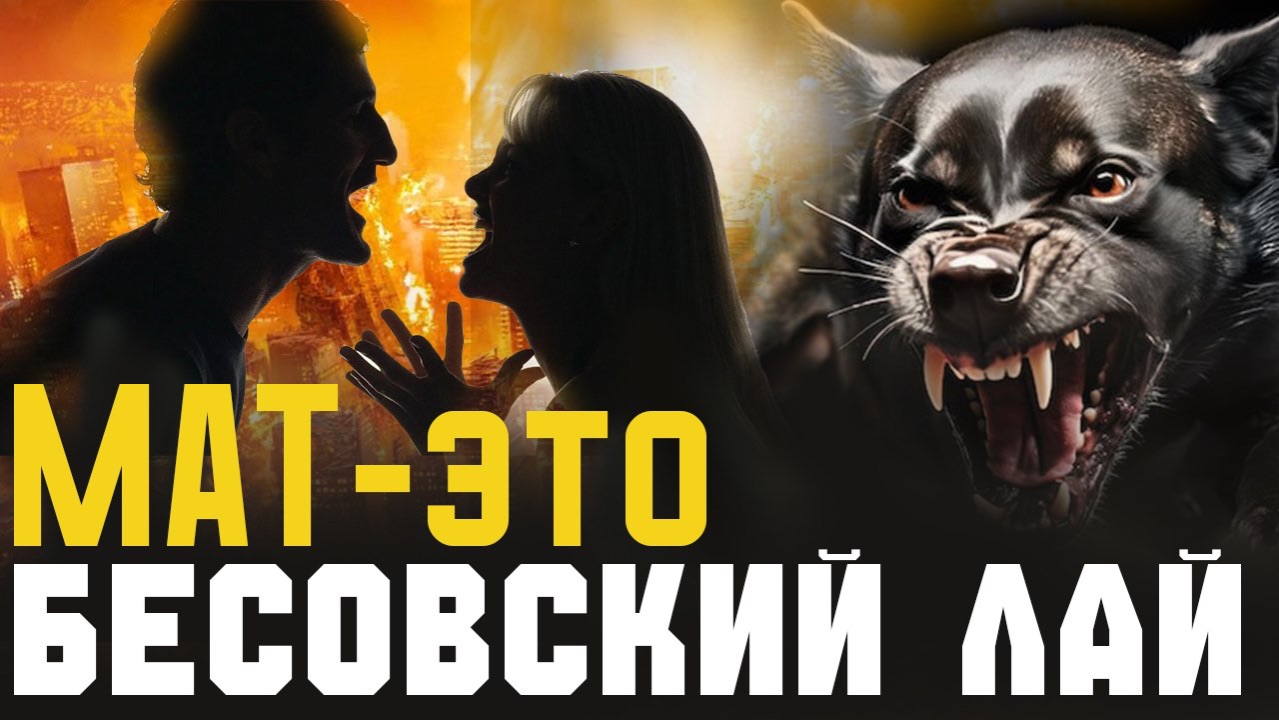 Нас убивают внутренние враги! Протоиерей Андрей Ткачёв смотреть онлайн