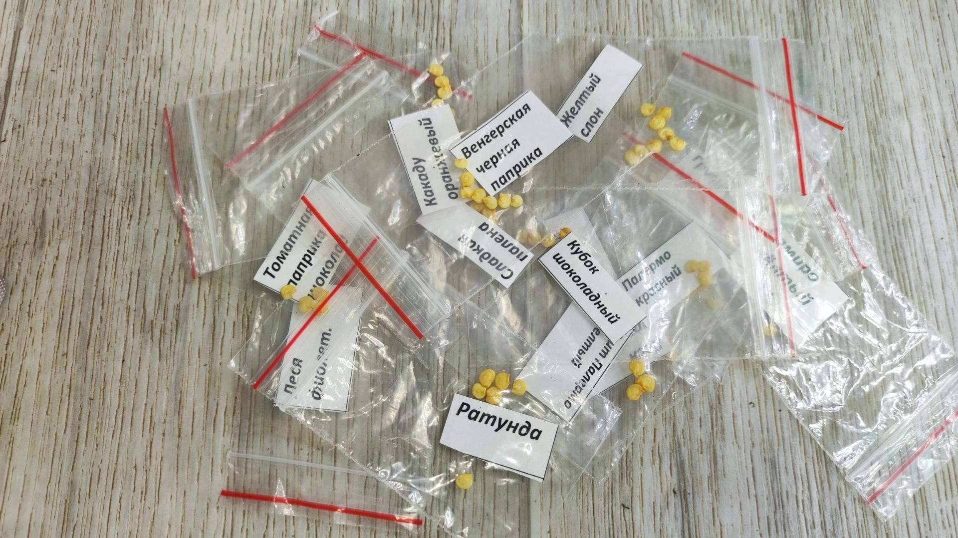 СДЕЛАЙТЕ ТАКОЙ ЭЛИКСИР И ДАЖЕ ЗАСОХШИЕ СЕМЕНА ВЗОЙДУТ ЧЕРЕЗ 2 ДНЯ! смотреть онлайн