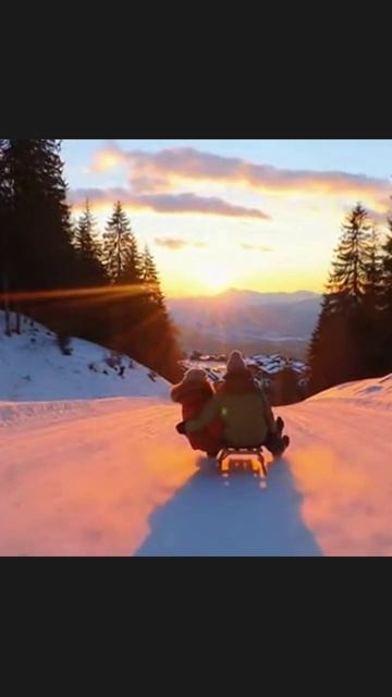 санки зима катаниенаснегу снежныеприключения приключениянасанках семейныеразвлечения