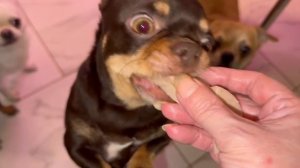 Вот все им надо выпросить, ни чего без них не съешь.