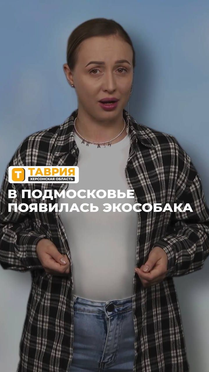 В Подмосковье появилась экособака смотреть онлайн