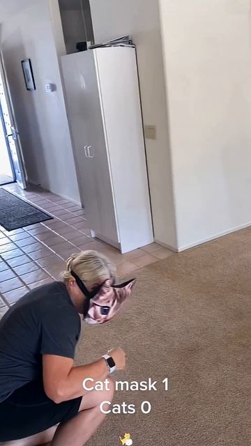 Кошки и маски смотреть онлайн