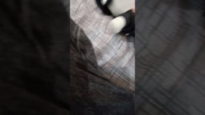 что ко мне пришло с Озона