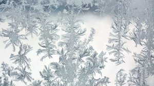 Зима рисует на окне узоры/ вариант выбран мной