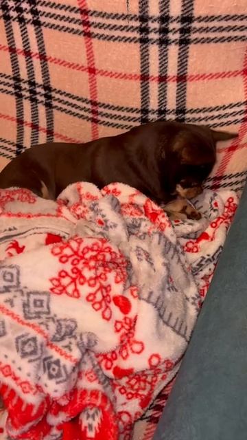 Сон час устроили.