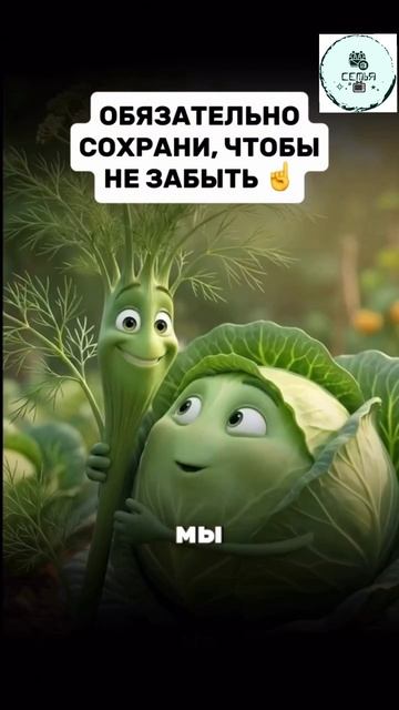 САЖАЕМ ТОЛЬКО ВМЕСТЕ смотреть онлайн