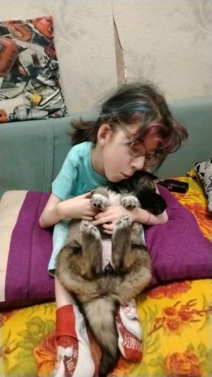 ленивый Стрим