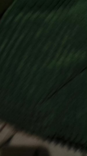 показываю свой шалашик часть вторая