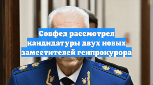 Совфед рассмотрел кандидатуры двух новых заместителей генпрокурора