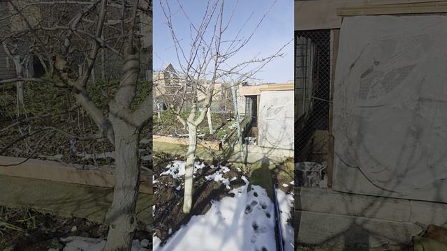 2026-01-27 13-43-07 смотреть онлайн