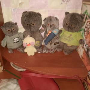 басята и утка