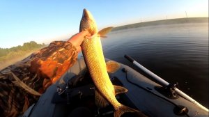 ДОБРАЯ ЩУКА КИНУЛАСЬ НА ВОБЛЕР