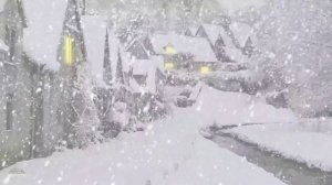 The morning after Christmas