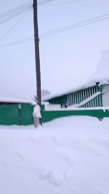 дятел смотреть онлайн