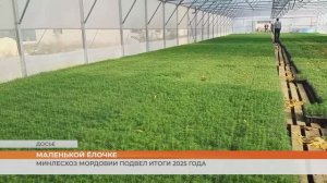 Лесники Мордовии продолжают восстанавливать леса и экологию региона