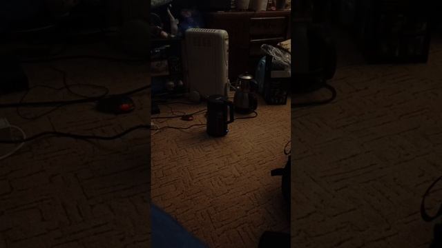 VID_20260128_163440_360.mp4 смотреть онлайн